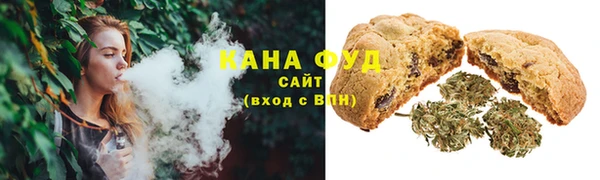хмурый Абаза