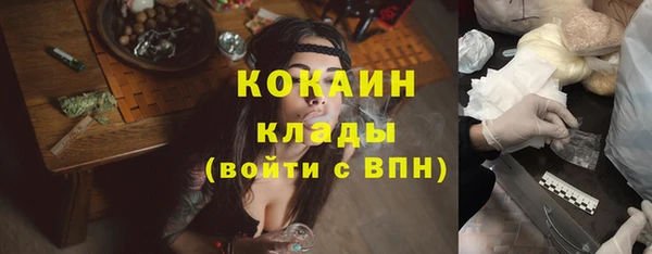 хмурый Абаза