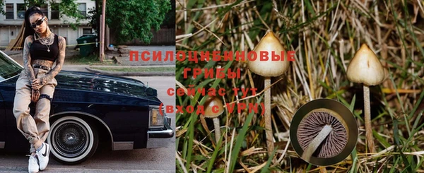 амф Абдулино