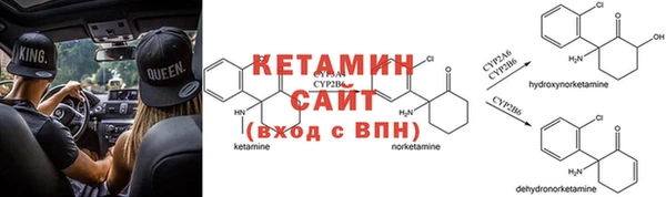 хмурый Абаза