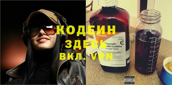 хмурый Абаза