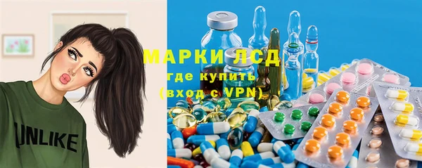 хмурый Абаза