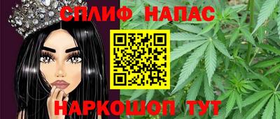 spice Бердск