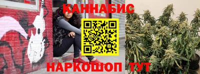 spice Бердск