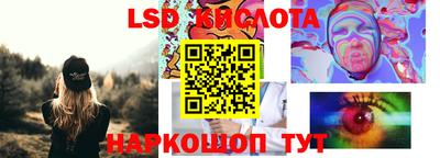 spice Бердск