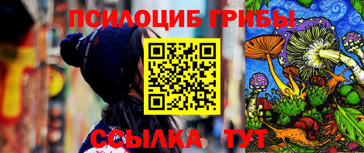 Галлюциногенные грибы прущие грибы Североморск