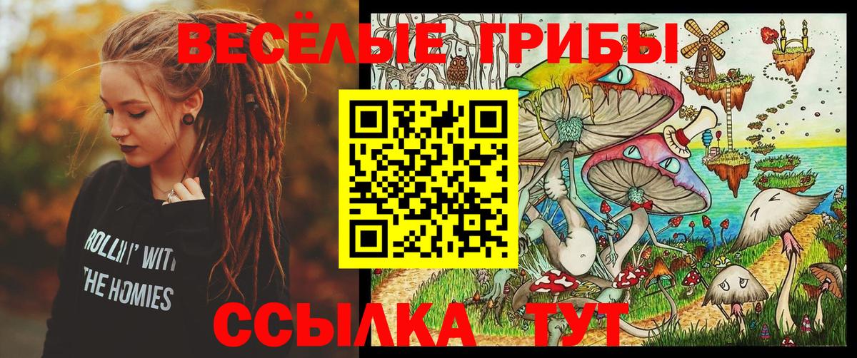 цена наркотик  Галлюциногенные грибы Psilocybe  Вход с VPN  Псилоцибиновые грибы прущие грибы  Североморск 
